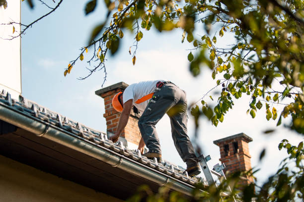 Best Roof Repair  in Caledonia, MN