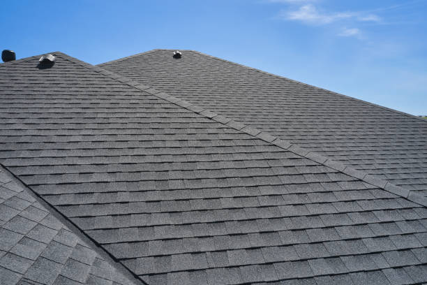 Best Asphalt Shingle Roofing  in Caledonia, MN