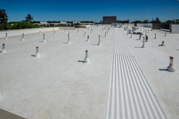 Roof Insulation in Caledonia, MN